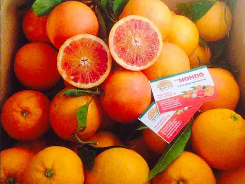 УПАКОВКА  Красных апельсинов Тарокко Галло