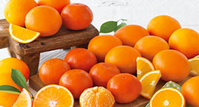 Le migliori arance di Sicilia