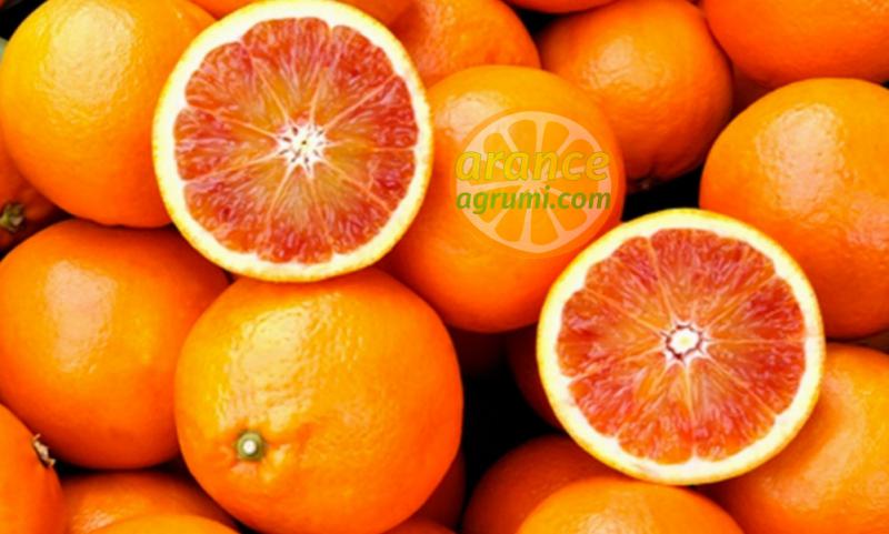 Vendiamo le migliori arance siciliane online